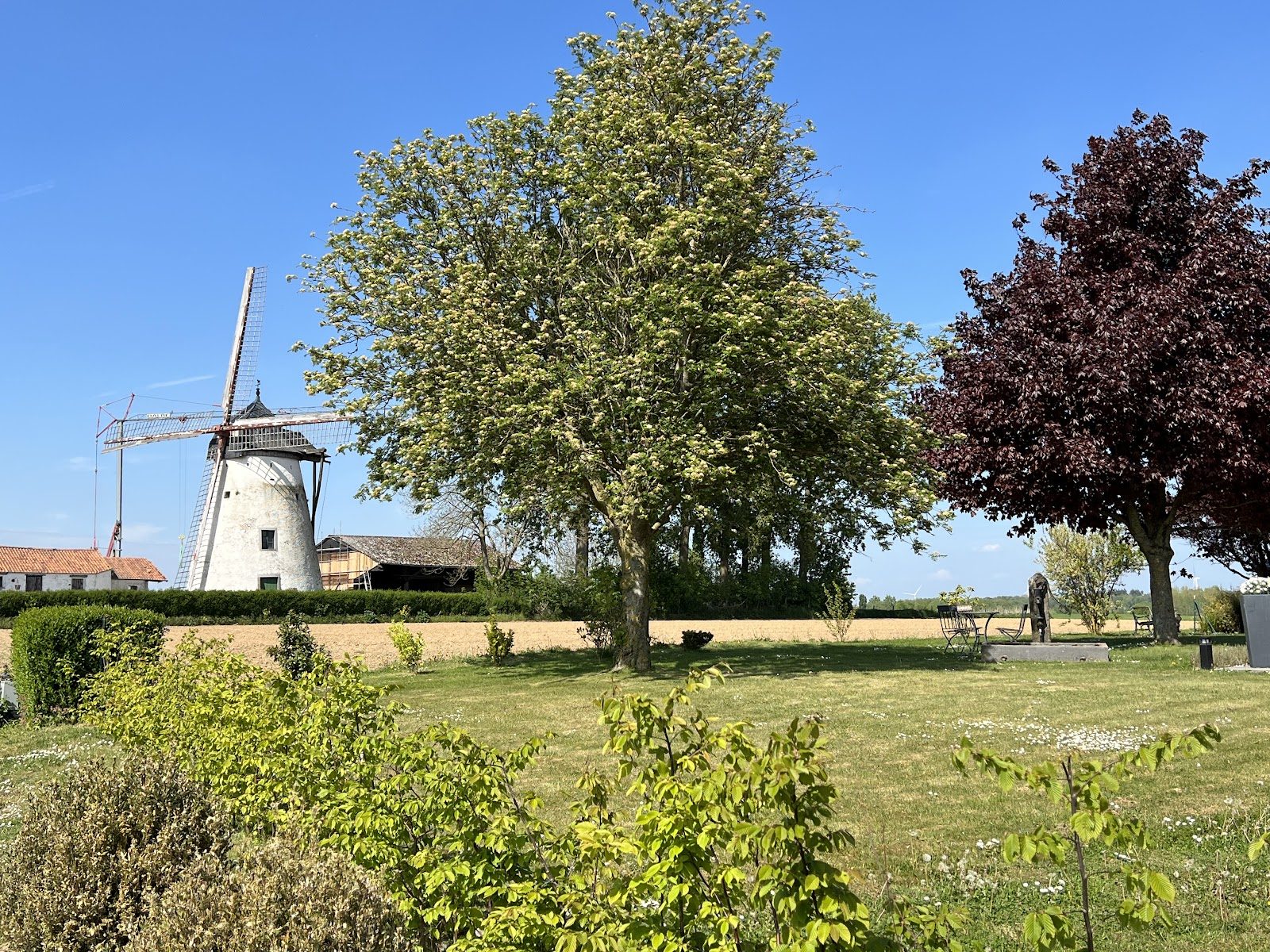 Windmill